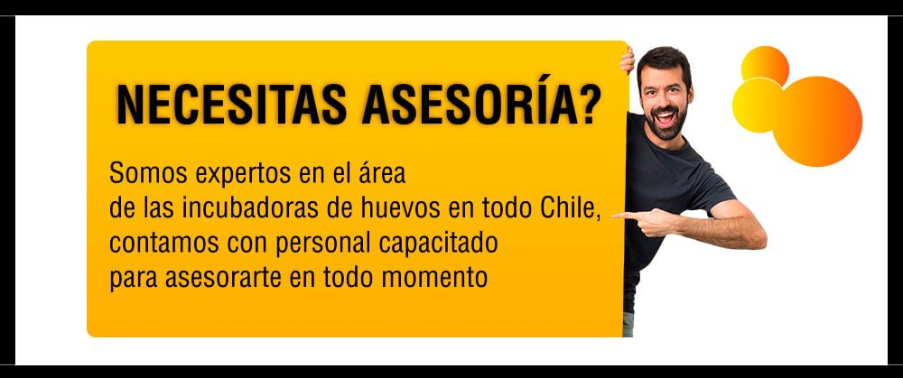 ASESORIA  - Chile Incubadoras