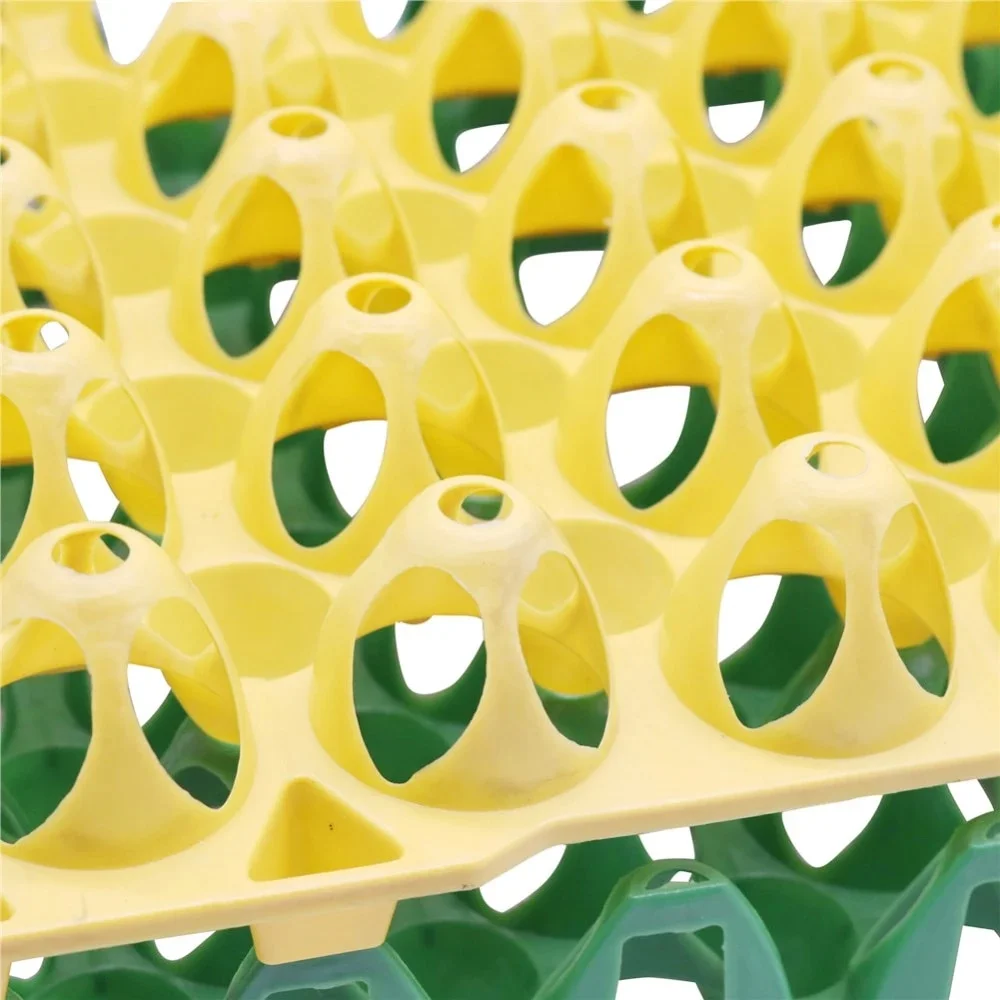 Bandeja para Huevos recolectoras (plastica) Bandeja para Huevos recolectoras (plastica)