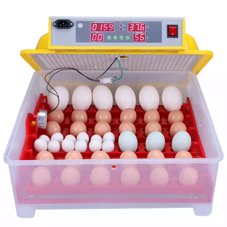 Incubadora Automática de 36 huevos