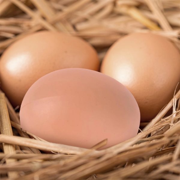 huevos falsos gallina (plasticos)