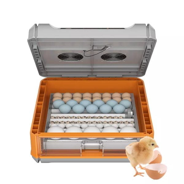Incubadora Automática de 128 huevos