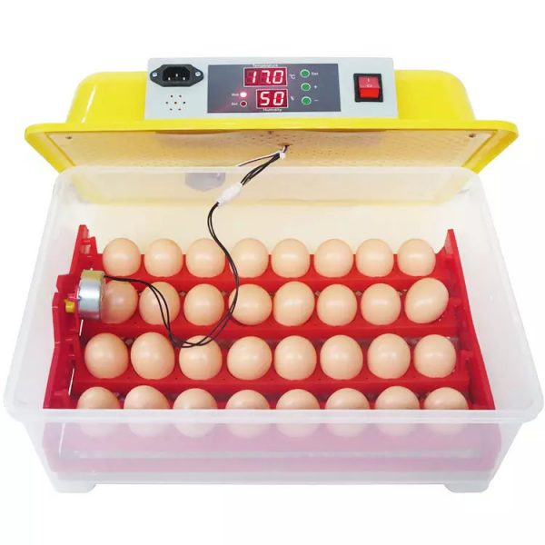 Incubadora de 24 huevos