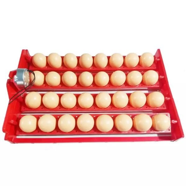 Incubadora de 24 huevos