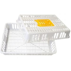 poultry cage tc03poultry cage tc03 2 300x300 - Jaula de Transporte Desarmable para Aves