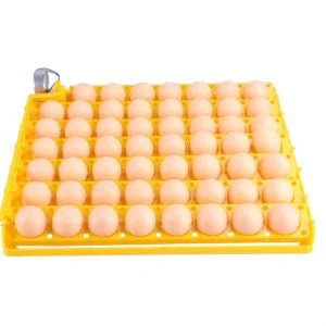 Bandeja de huevos para incubadoras 55 huevos