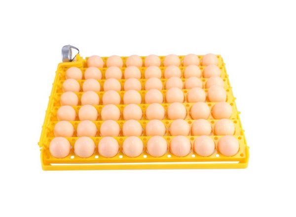 Bandeja de huevos para incubadoras 55 huevos