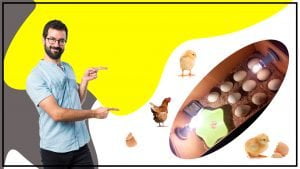 Como hacer tus propias incubadoras de huevos con materiales reciclados 300x169 - ¿Cómo hacer tus propias incubadoras de huevos con materiales reciclados?