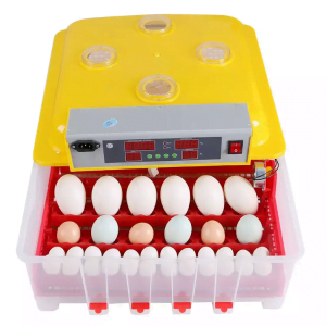 Incubadora Automática de 36 huevos