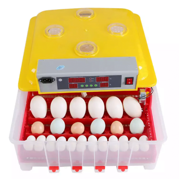 Incubadora Automática de 36 huevos