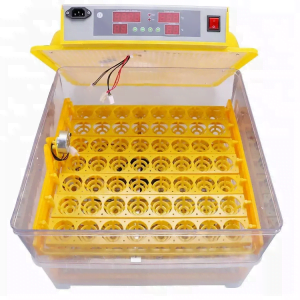 Incubadora Automática de 48 huevos