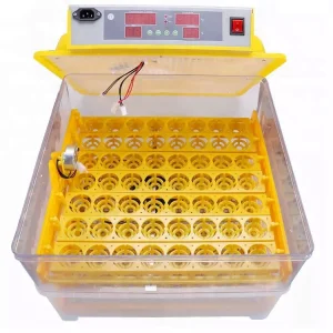 Incubadora Automática de 48 huevos