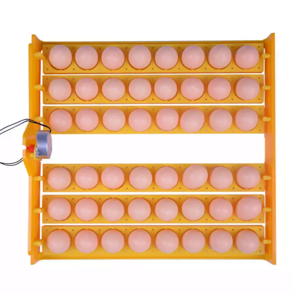 Incubadora Automática de 56 huevos