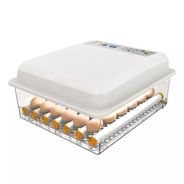 Incubadora Automática de 36 huevos blanca