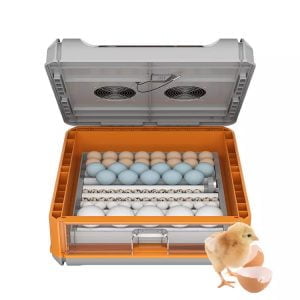 ezgif.com gif maker 25 300x300 - Incubadora Automática de 192 huevos