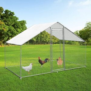 Gallinero Galvanizado de 3X3X2 metros