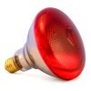Ampolleta de 175 watts