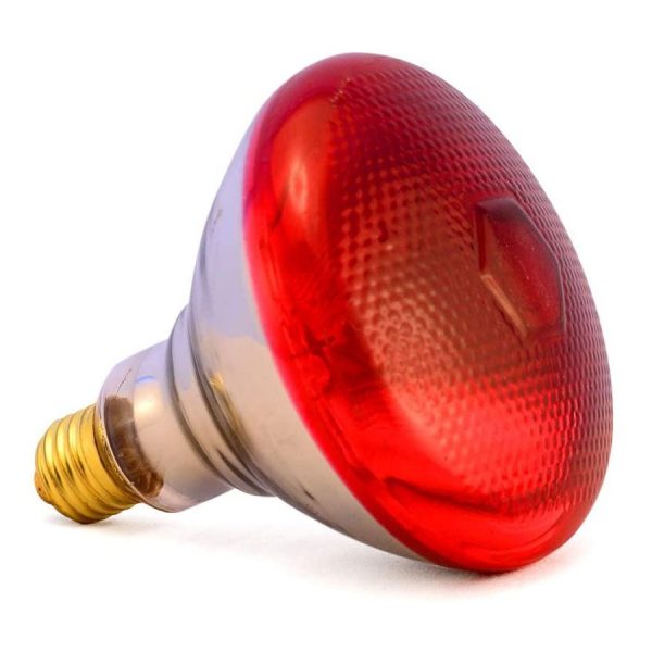 Ampolleta de 175 watts