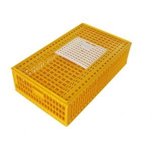 poultry cage tc01 1 300x300 - Jaula de Transporte Grande para Aves