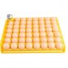 Bandeja Plástica para Incubadora de Huevos de Codorniz