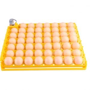 Bandeja de Huevos para Incubadora 55 huevos