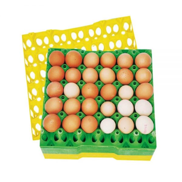 Bandeja para Huevos recolectoras plástica