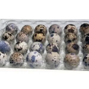 Bandeja Plastica Huevos Codorniz 24 huevos